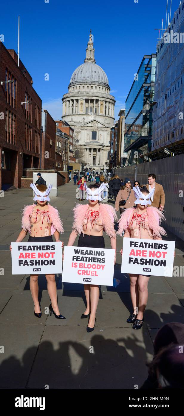 Millennium Bridge, London, Großbritannien. 17. Februar 2022. Um gegen den Einsatz von Federn bei der London Fashion Week zu protestieren, macht eine Schar von PETA-Anhängern am Donnerstag, dem 17th. Februar, die Millennium Bridge zu ihrem Laufsteg. Mit Vogelmasken und freigelegten „blutigen und gerupften“ Truhen heben sie die Notlage von Vögeln hervor, deren Federn für Modebekleidung und Accessoires herausgerissen werden. „Gefieder gehört sanften Vögeln, und die Menschen haben kein Recht, es ihnen von der Handvoll zu reißen“, sagt PETA-Direktorin Elisa Allen. „PETA fordert alle auf, mit fabelhaften veganen Textilien ein modisches Statement auf die freundliche Art und Weise zu machen.“ Kredit: Malcolm Park/A Stockfoto