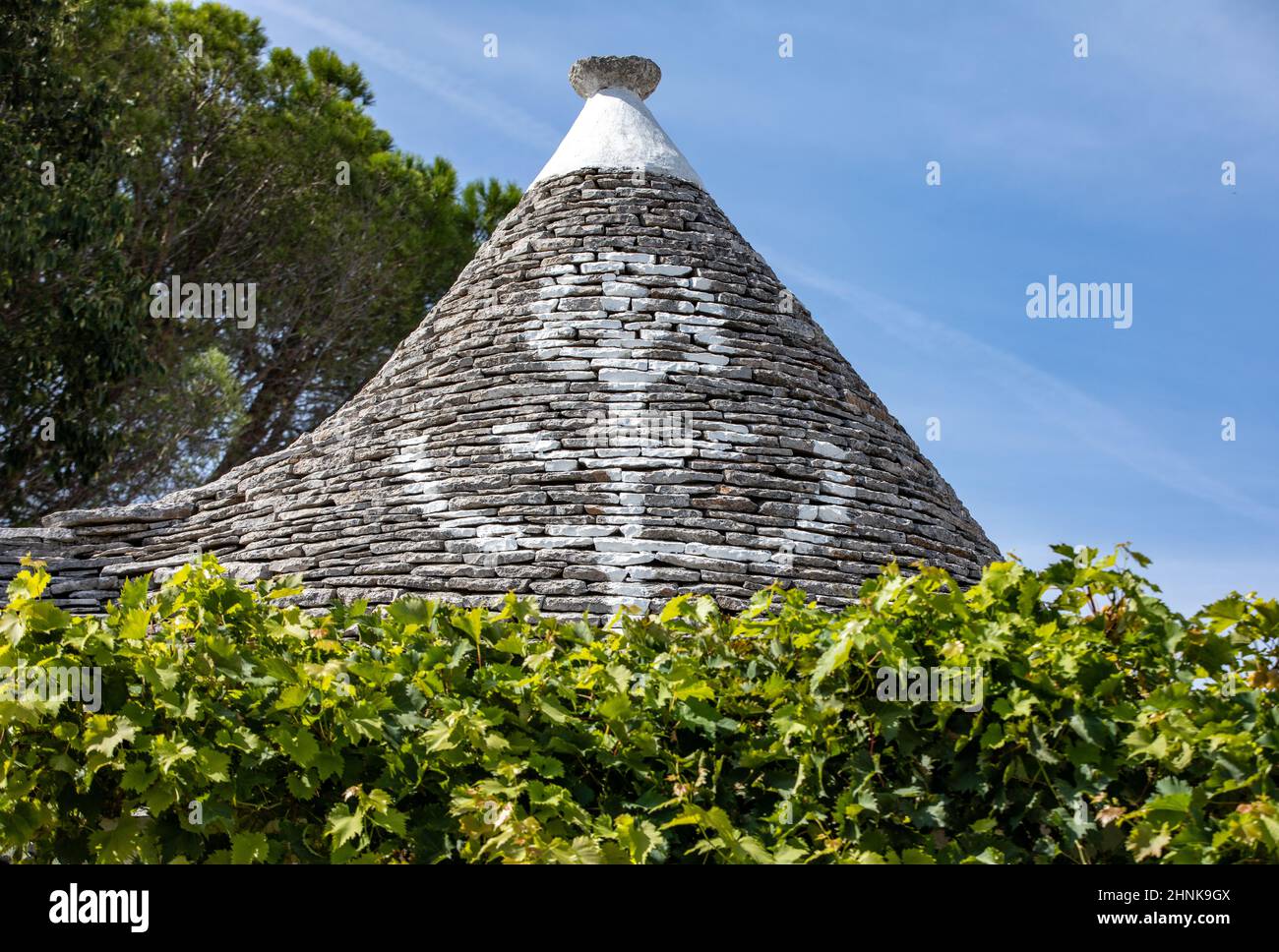 Weinreben auf dem Steindach des Trulli Hauses in Alberobello, Italien. Stockfoto