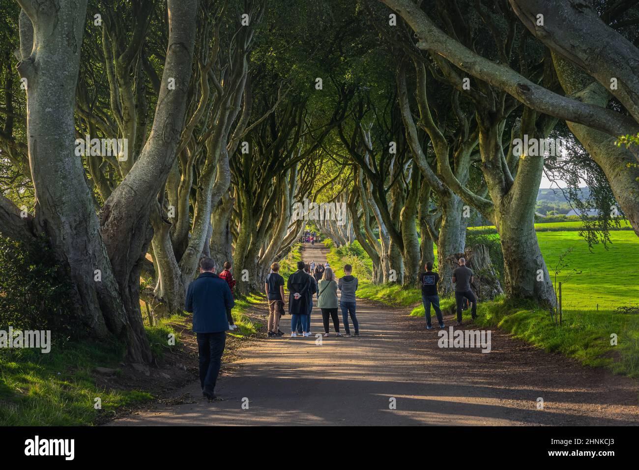 Touristen bewundern die ikonische Lage aus der TV-Show The Game of Thrones, The Dark Hedges Stockfoto