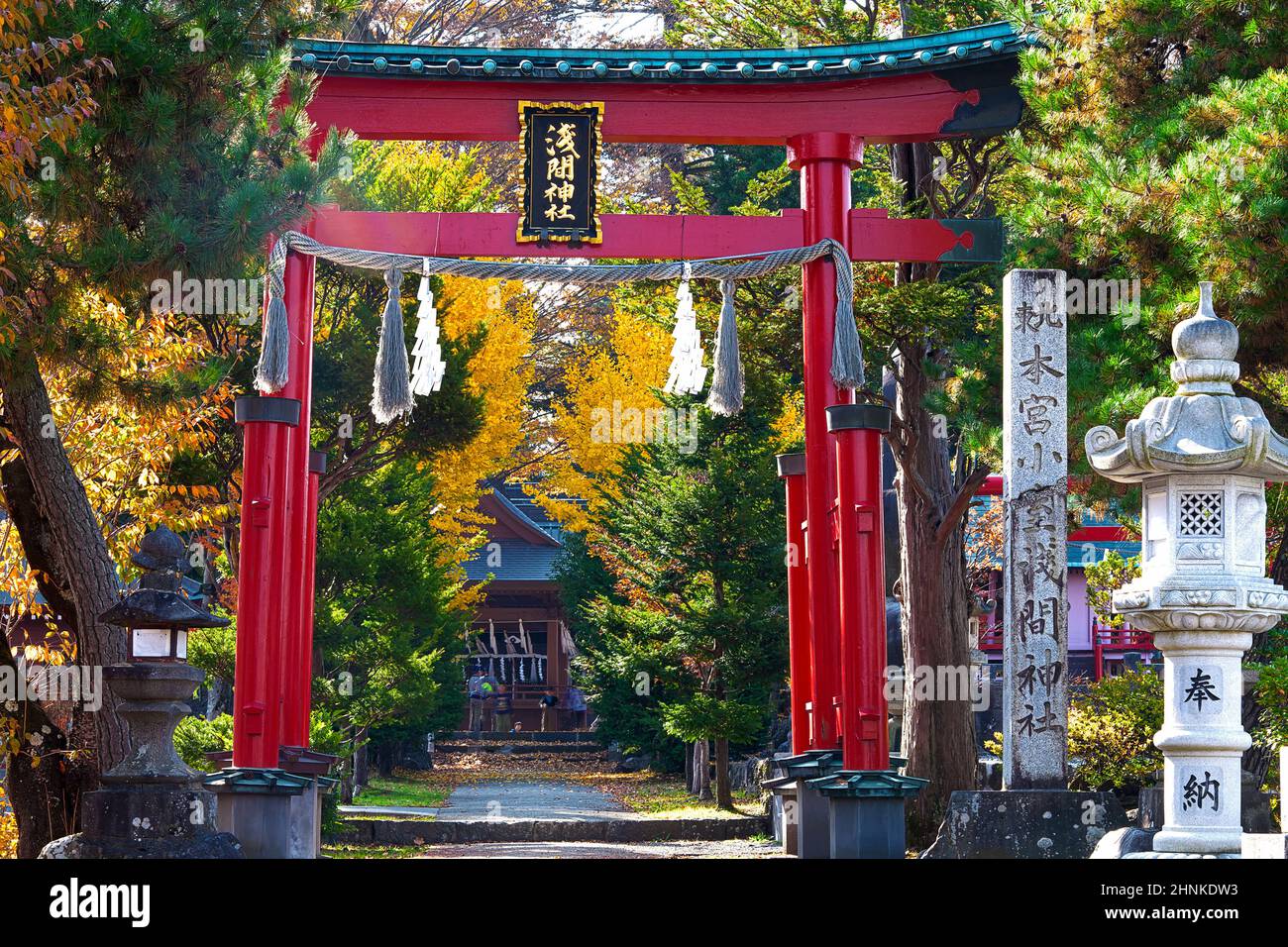 Schöner Tempel mit Ahornsaison, Sengen-Schrein, Japan Stockfoto