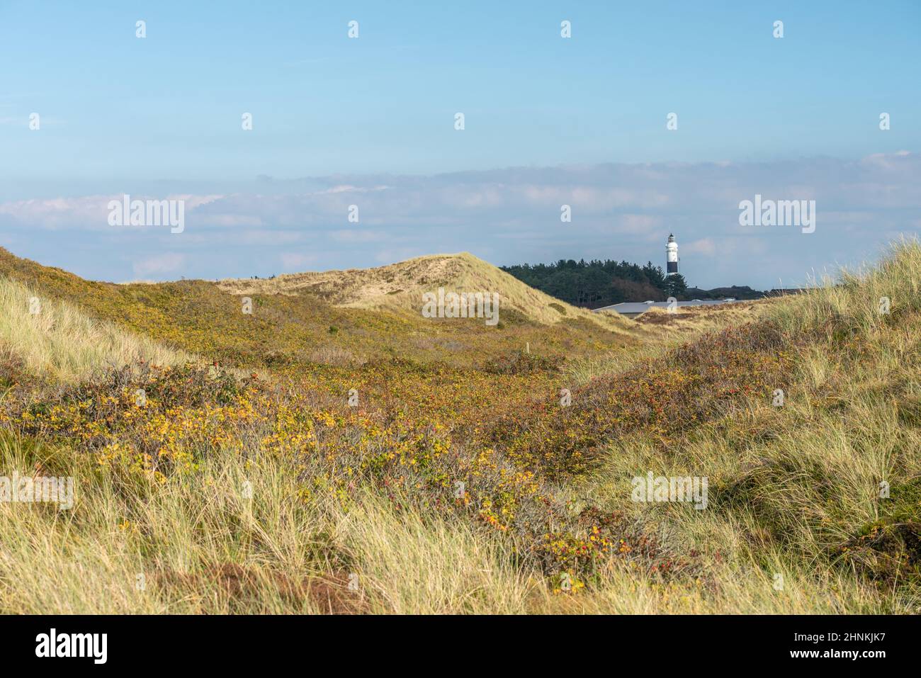 Leuchtturm Stockfoto
