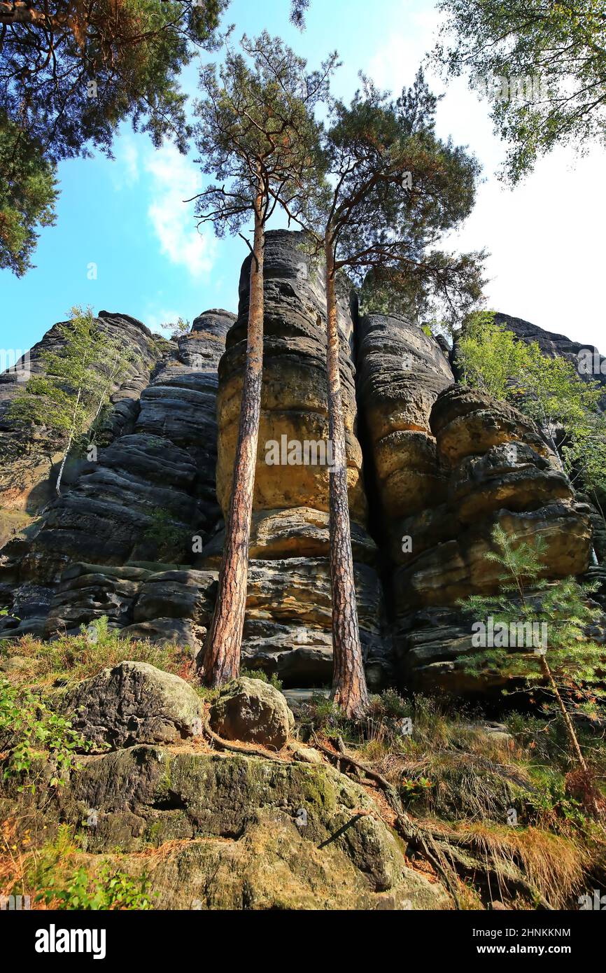 Fantastische Landschaft im Elbsandsteingebirge Stockfoto
