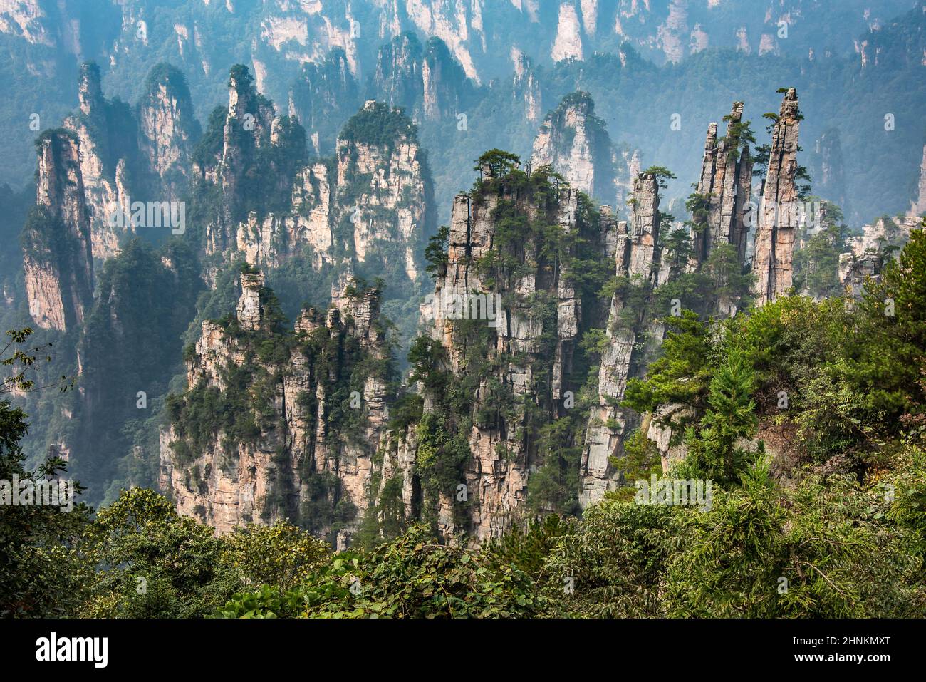 Die Gipfel von Zhangjiajie National Forest, die szenografie von Avatar Hallelujiah Bergen inspiriert Stockfoto