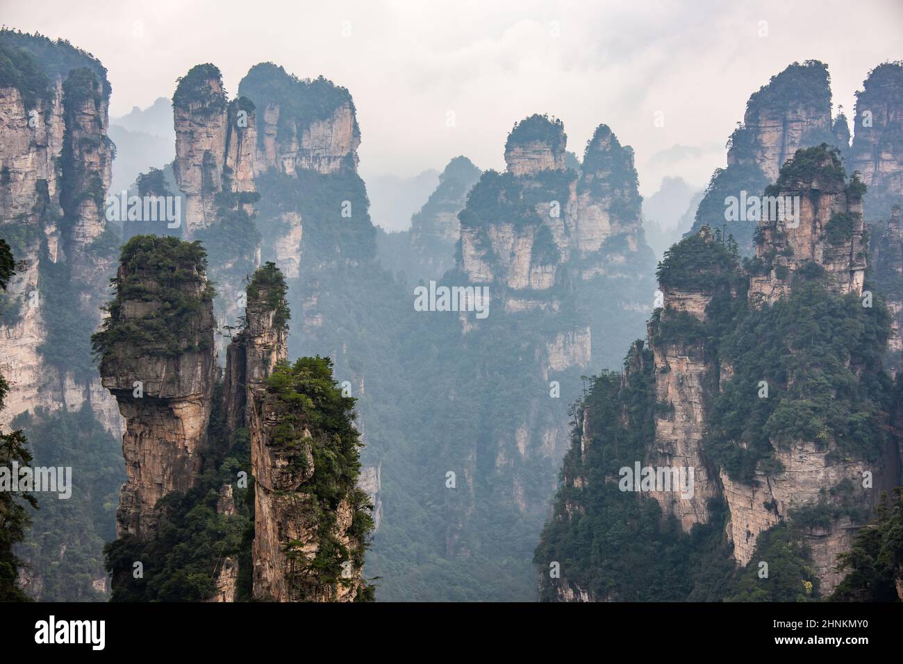 Die Gipfel von Zhangjiajie National Forest, die szenografie von Avatar Hallelujiah Bergen inspiriert Stockfoto