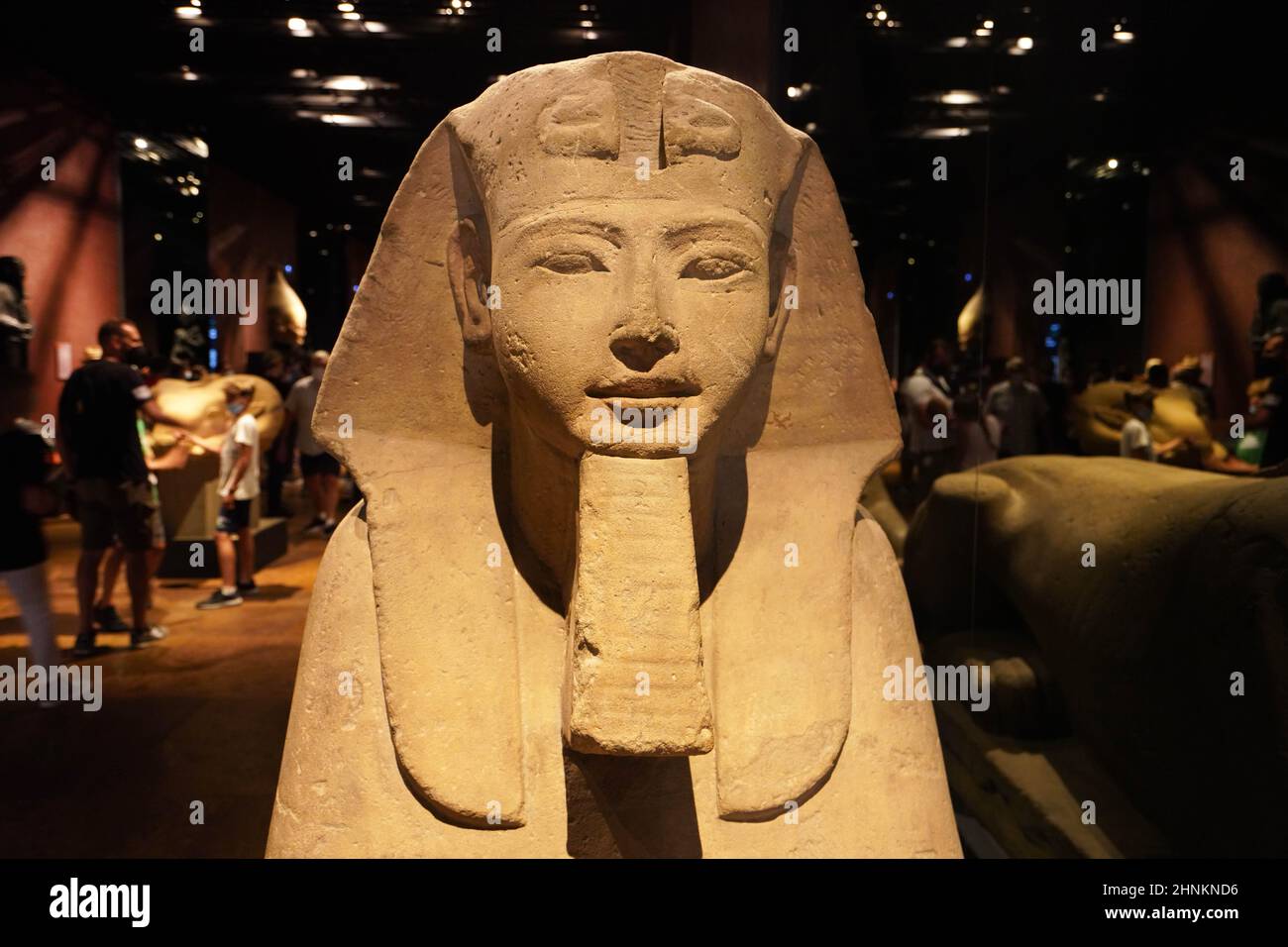 TURIN, ITALIEN - 19. AUGUST 2021: Frontalansicht der ägyptischen Sphinx-Statue im Ägyptischen Museum von Turin, Italien Stockfoto