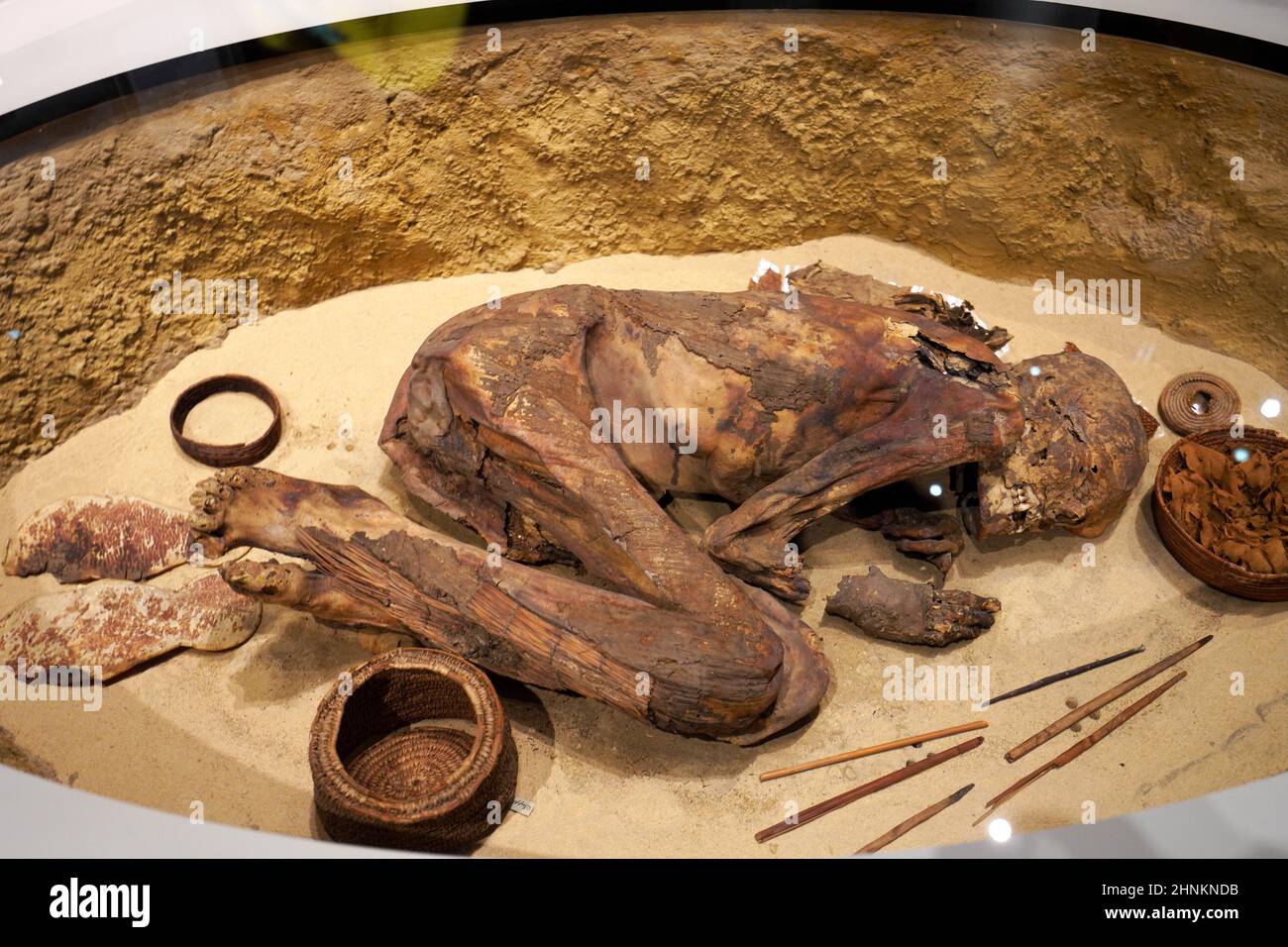 TURIN, ITALIEN - 19. AUGUST 2021: Mumie in fetaler Position. Mumifizierung eines Körpers während der ägyptischen Zivilisation, Ägyptisches Museum von Turin, Italien Stockfoto