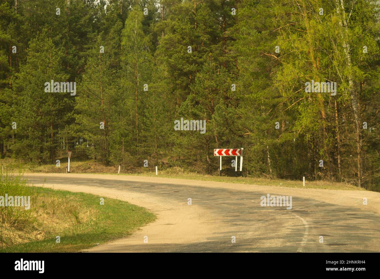 Forststraße. Weg durch den Wald. Landstraße Stockfoto