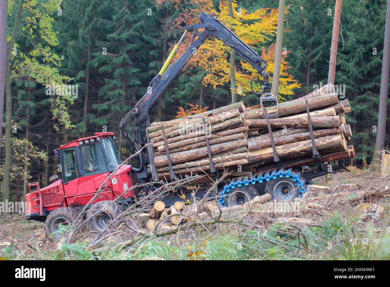 Waldarbeiter mit Spezialmaschinen ernten Holz. Baumstämme werden geladen. Stockfoto