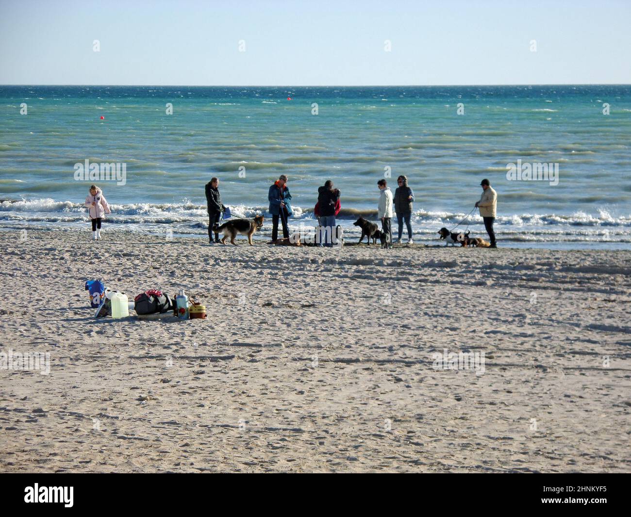 Menschen mit Hunden am Ufer. Stockfoto