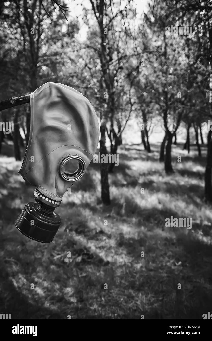 Gasmaske in einem Wald Stockfoto