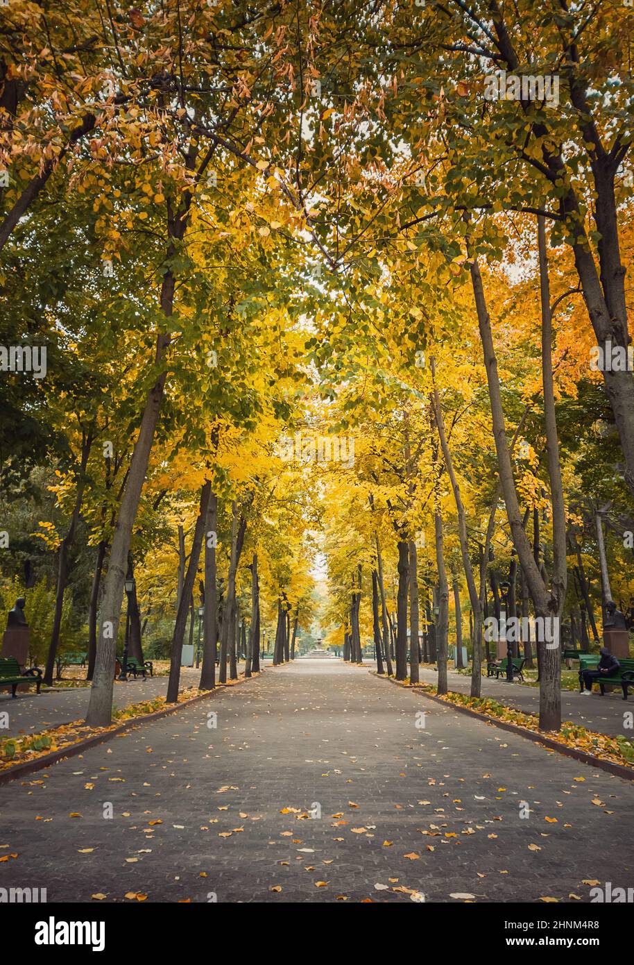 Herbstsaison Morgen im leeren Stadtpark. Schöne Aussicht und Stille, bunte Blätter auf dem Boden gefallen und Wege von Stephen III der große Platz in Chisinau, Moldawien Stockfoto