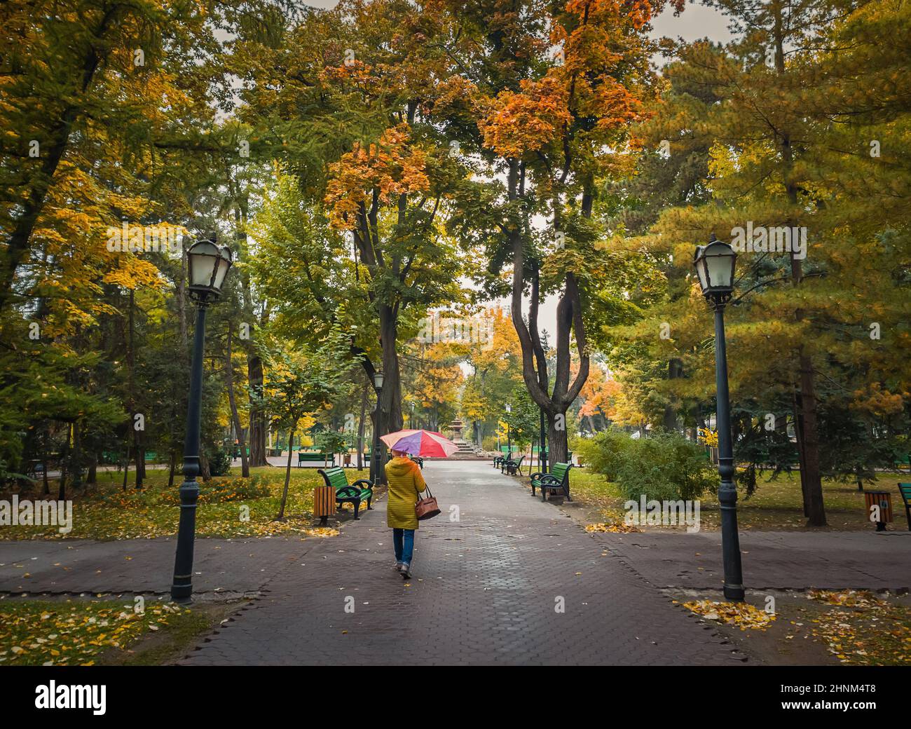 Frau mit Regenschirm, die an einem regnerischen Tag durch die leeren Gassen des Herbstparks läuft. Stille Szene, bunte Blätter auf dem Boden gefallen und Wege von Stephen III der große Platz in Chisinau Stadt, Moldawien. Stockfoto