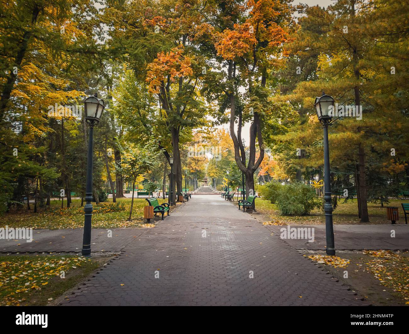 Regnerische Herbstsaison Morgen im leeren Stadtpark. Schöne Aussicht und Stille, bunte Blätter auf dem Boden gefallen und Gassen von Stephen III der große Platz in Chisinau, Moldawien. Stockfoto