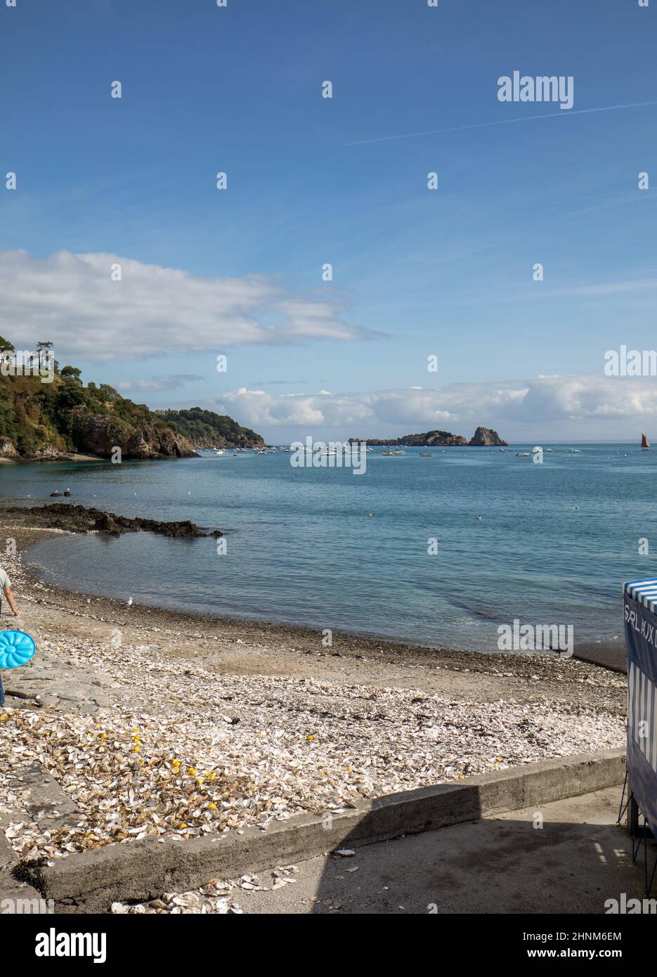 Tausende von leeren Schalen von gegessen Austern auf Meeresboden in Cancale, berühmt für Auster Betriebe verworfen. Bretagne, Frankreich Stockfoto