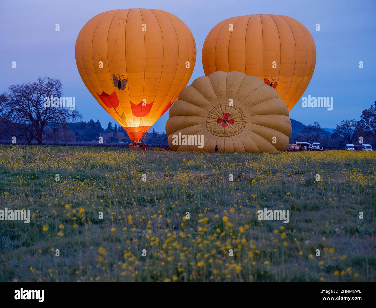 Am Frühen Morgen Fahrt Im Heißluftballon Durch Napa Valley, Kalifornien Stockfoto