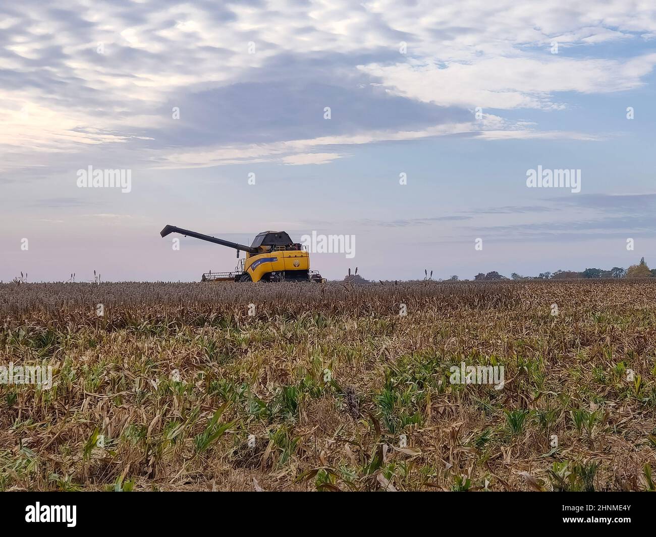 Kiew, Ukraine - 16. Juni 2020: Gelber Mähdrescher New holland oder New Holland CX 6,90 Stockfoto