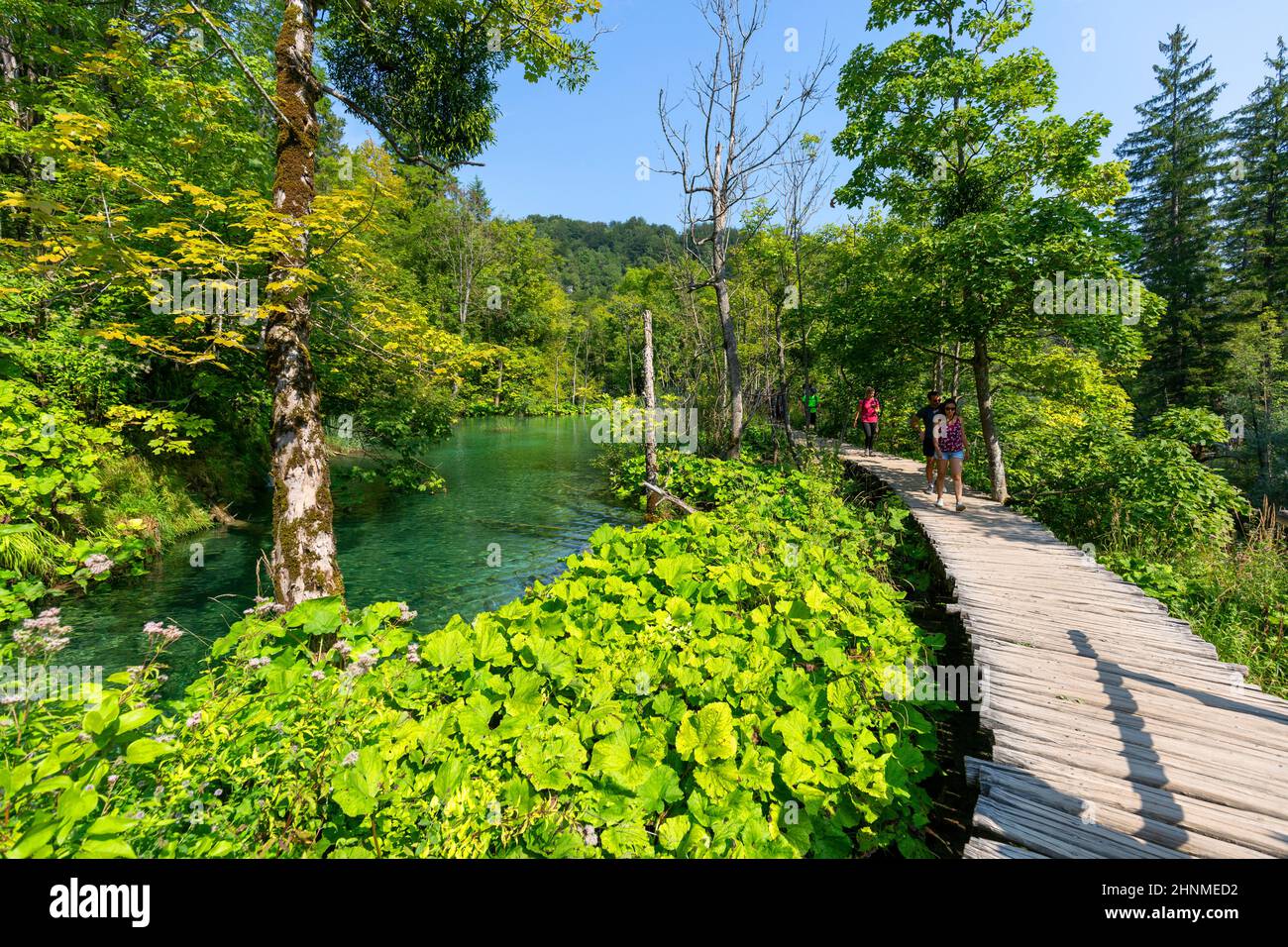 Nationalpark Plitvicer Seen, ein Wunder der Natur, Touristen zu Fuß auf der Holzbrücke, Plitvicer Seen, Kroatien Stockfoto