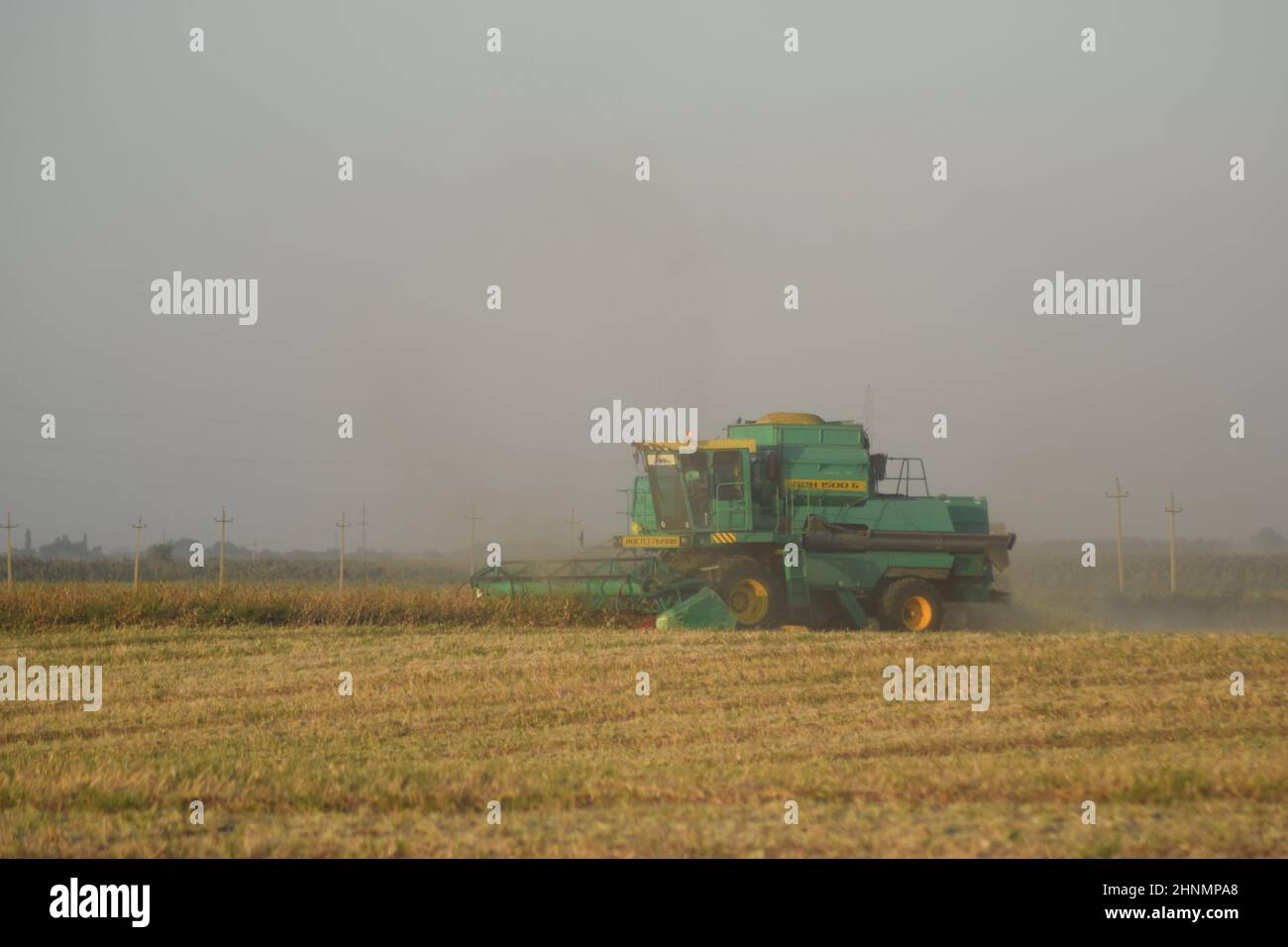 Soja-Ernte von verbindet im Feld. Stockfoto