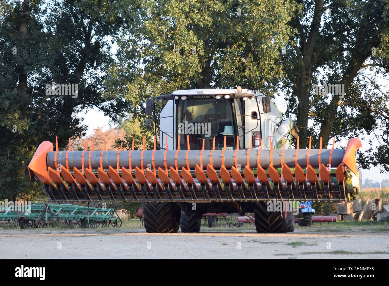 Maschine zum Harvesting Sonnenblume. Stockfoto