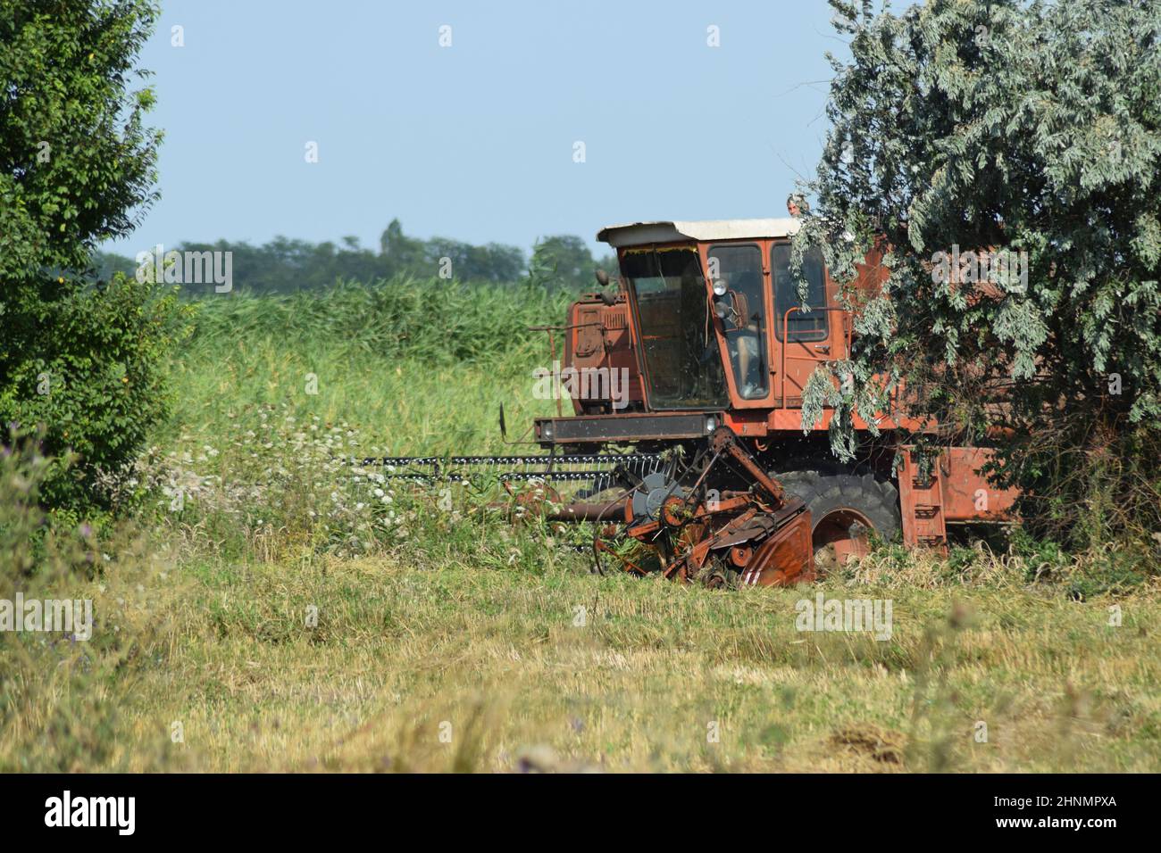 Alten rostigen Mähdrescher. Stockfoto