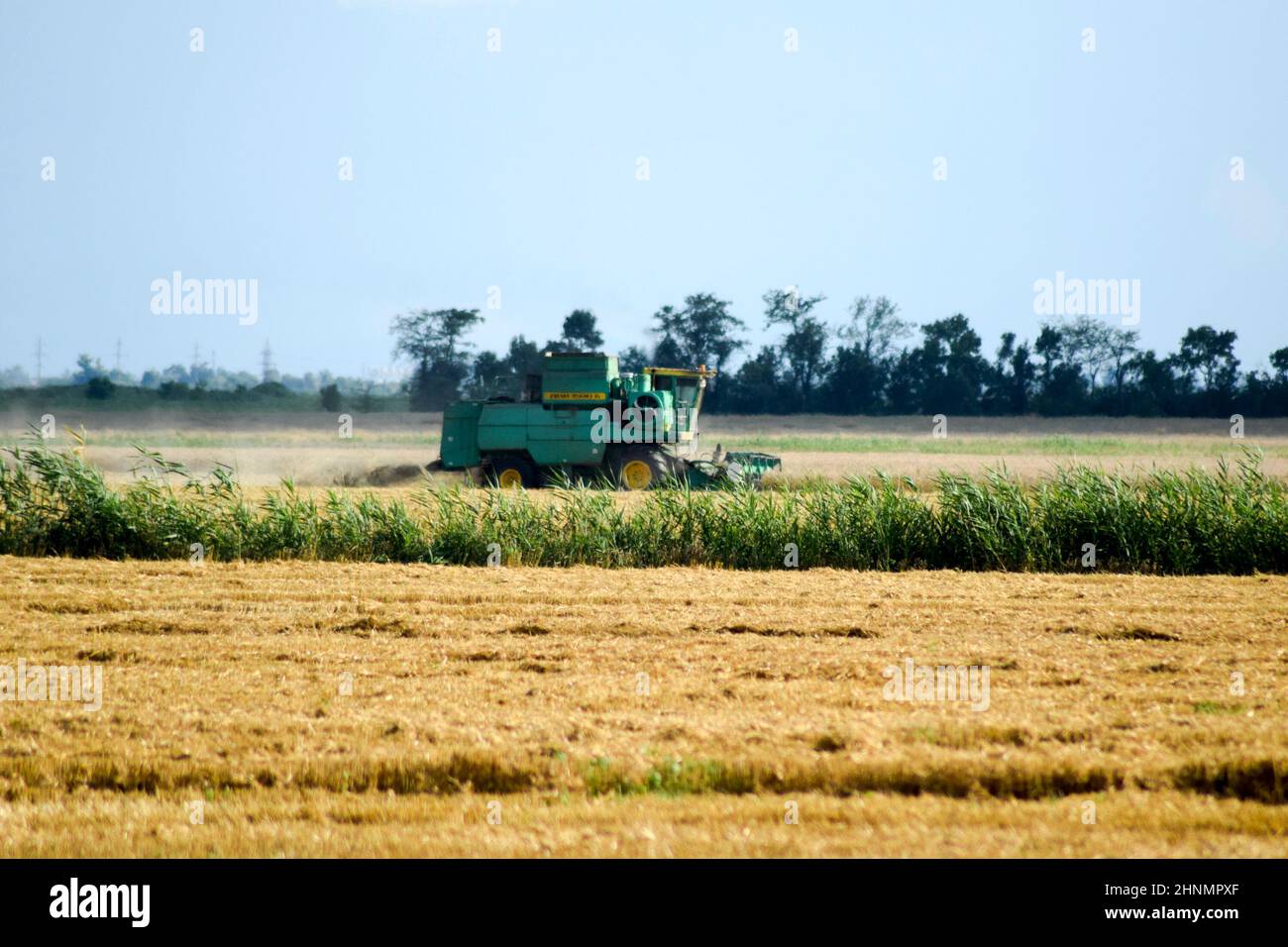 Mähdrescher. Landwirtschaftliche Maschinen. Stockfoto