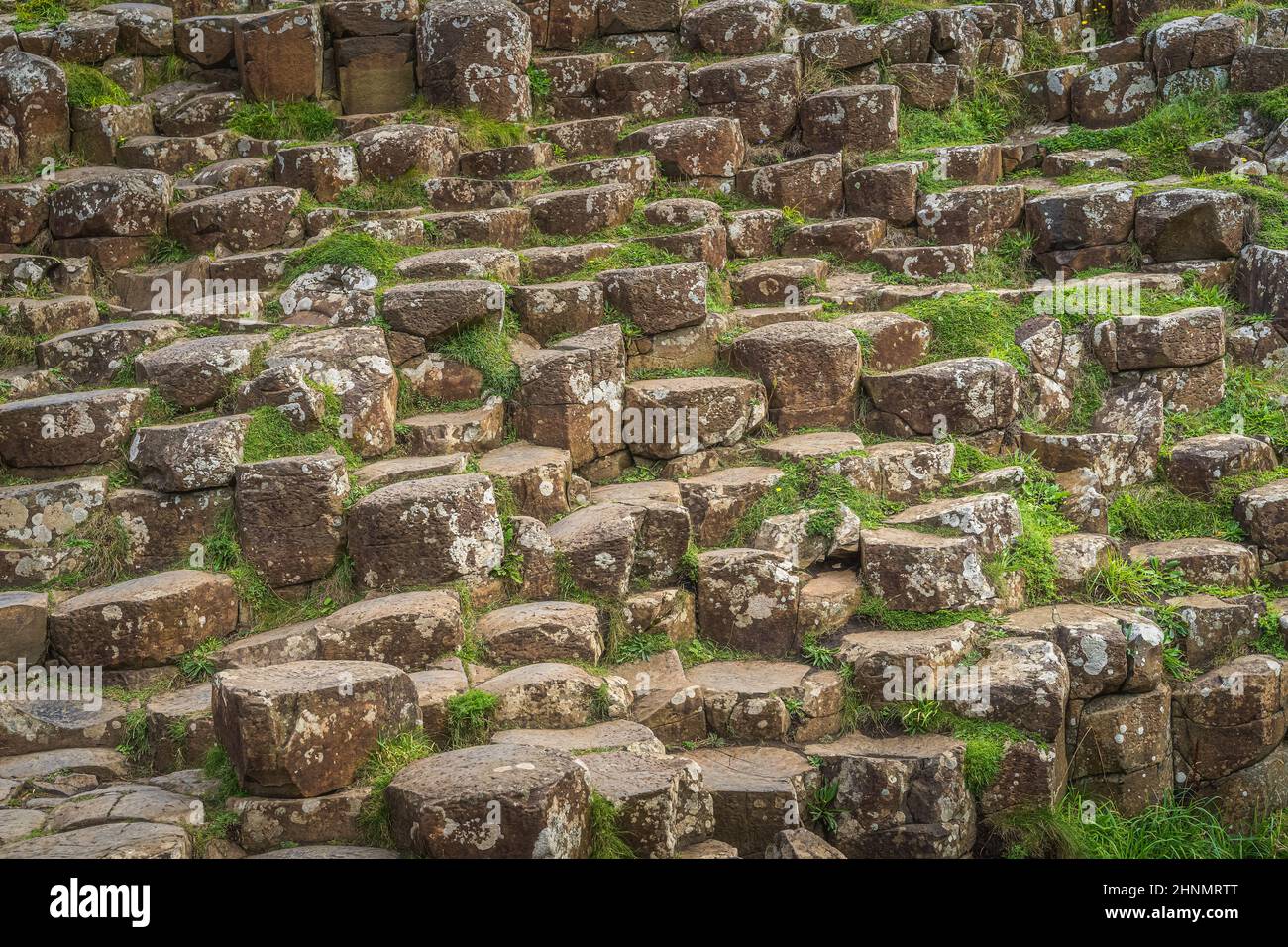 Sechseckige Felsformation in Giants Causeway, Wild Atlantic Way, Nordirland Stockfoto