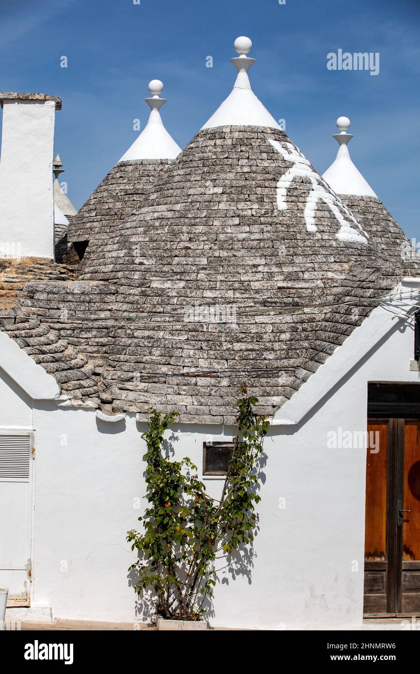 Traditionelle weiße Häuser im Dorf Trulli. Alberobello, Italien. Stockfoto