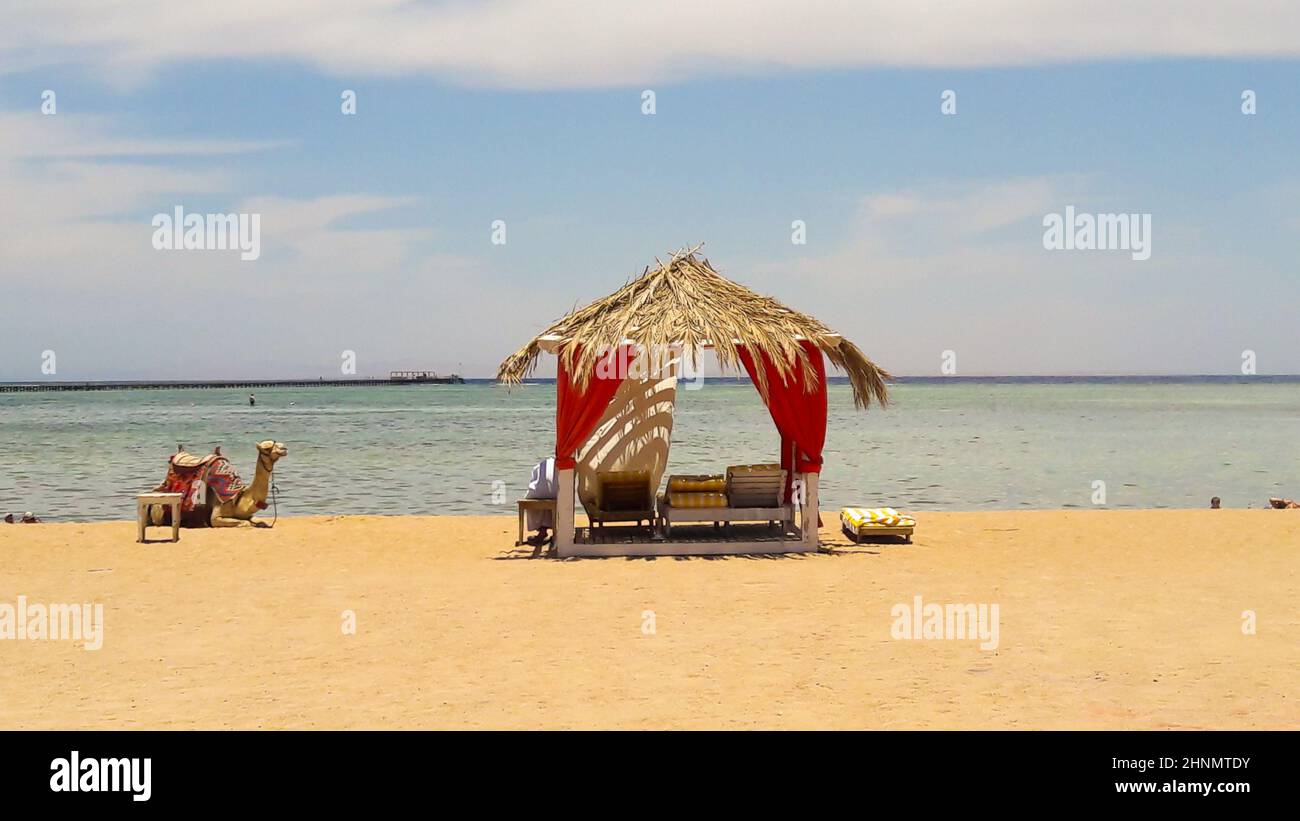 Luxuriöse Strohzelte im arabischen Stil am Roten Meer und Kamel im ägyptischen Ferienort Sharm El Sheikh. Sommer Strand Konzept, Design für Entspannung und Ruhe. Stockfoto