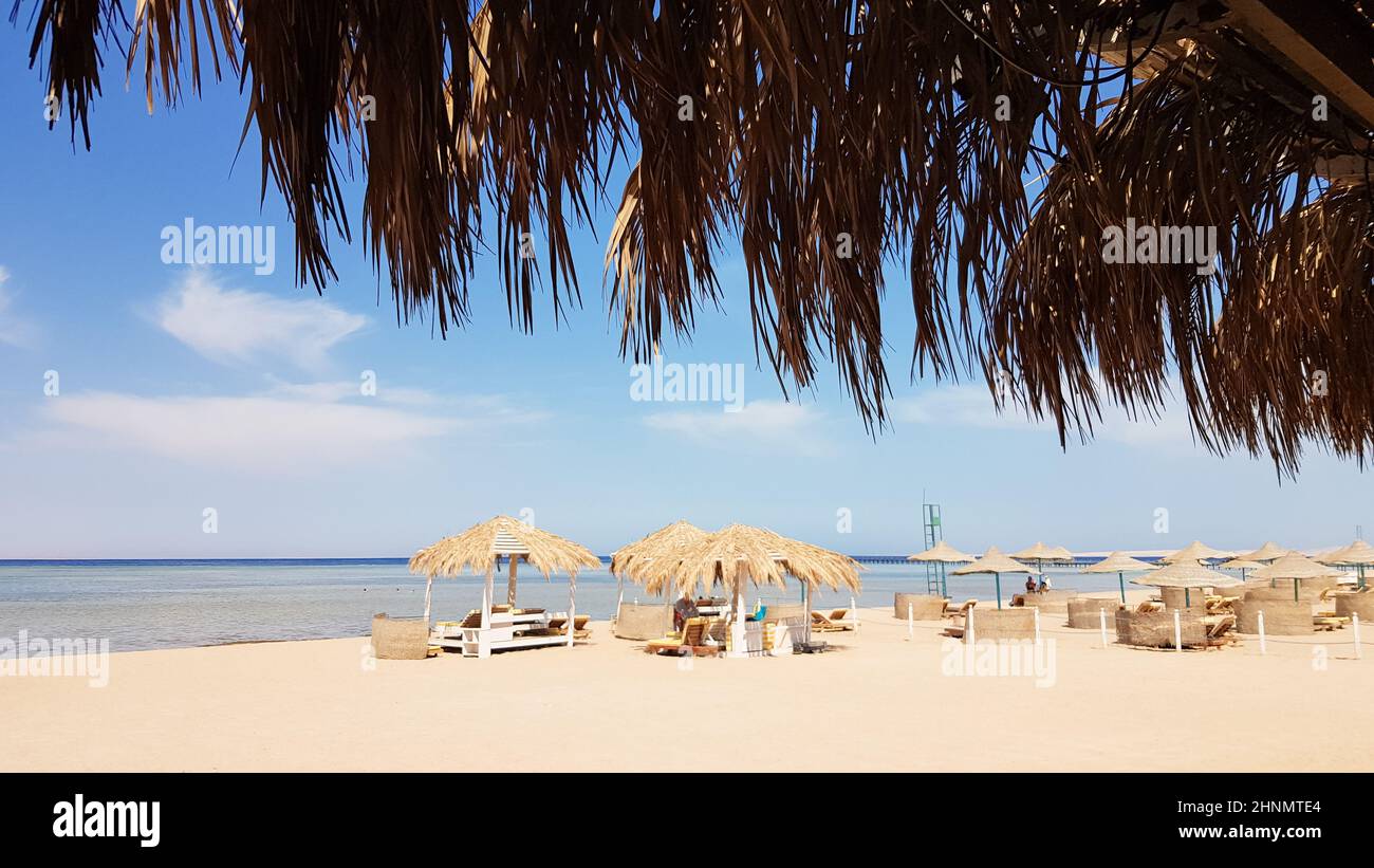 Ein wunderschöner tropischer Strand mit Strohschirmen am Ufer des Roten Meeres in Sharm El Sheikh. Sommerlandschaft schöner sonniger Strand in Ägypten. Das Konzept von Urlaub, Reisen, Urlaub Stockfoto