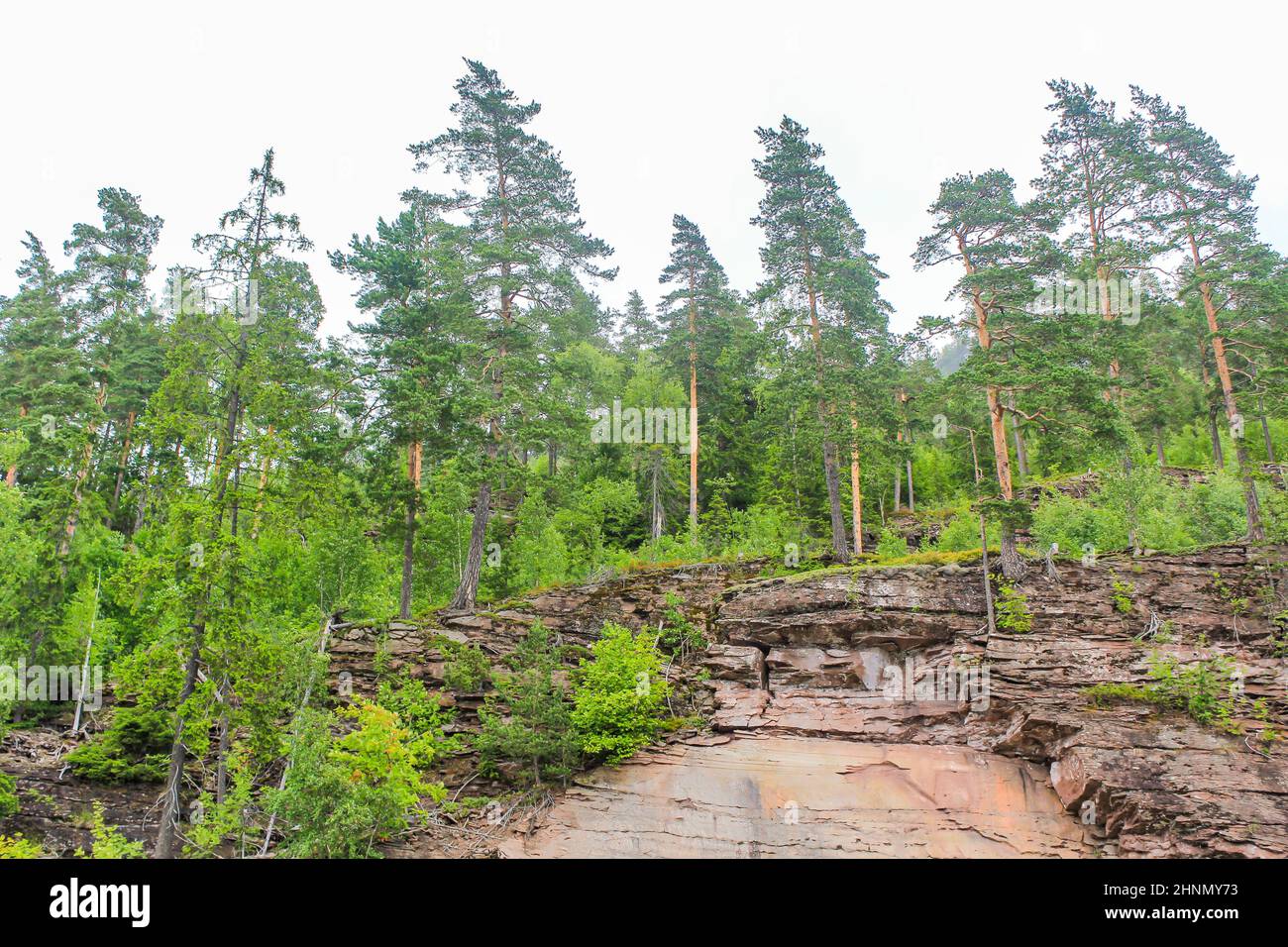 Norwegische Landschaft mit Bäumen Tannen Berge und Felsen. Norwegen Natur. Stockfoto