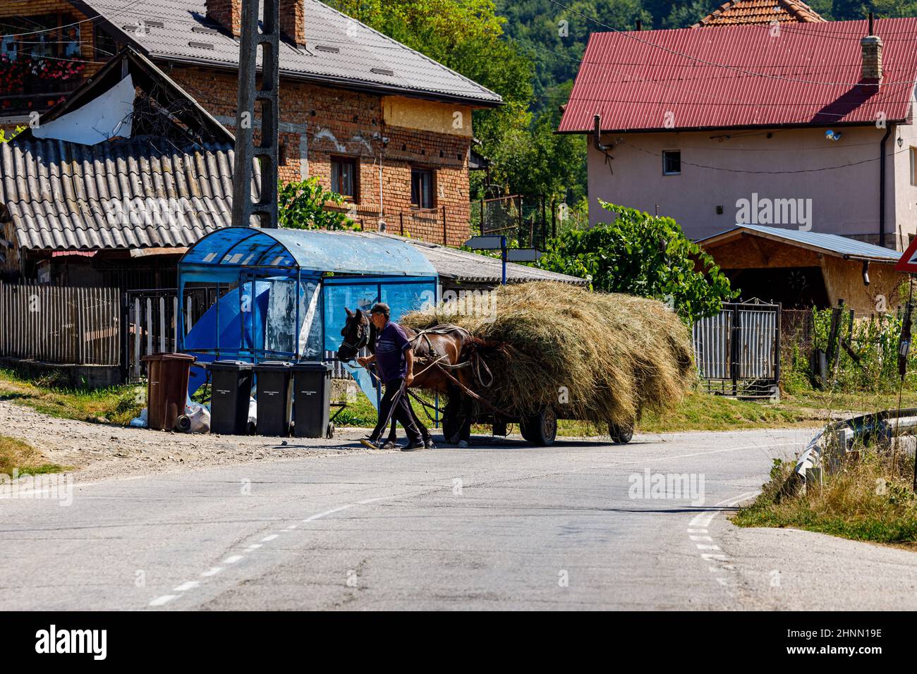 Landwirt bei der Heuernte mit Pferdekutsche in Oberkerz in Rumänien, 11. August 2021 Stockfoto