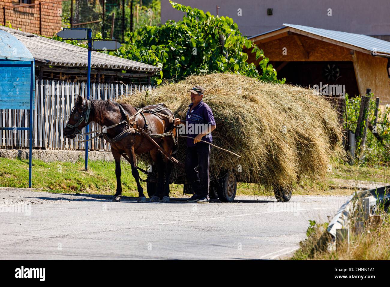 Landwirt bei der Heuernte mit Pferdekutsche in Oberkerz in Rumänien, 11. August 2021 Stockfoto