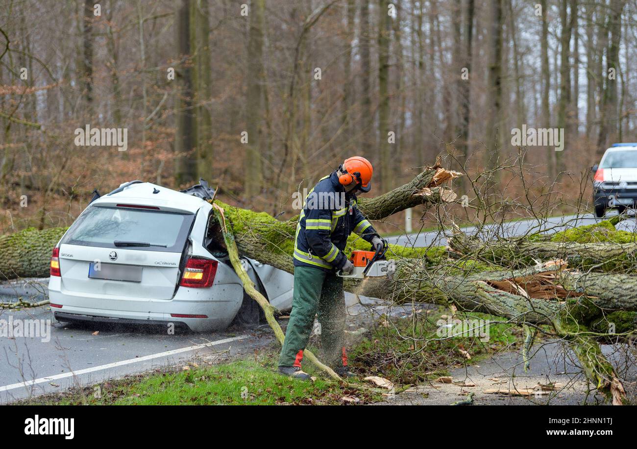 Bad Bevensen, Deutschland. 17th. Februar 2022. Ein vom Sturm gefallener Baum liegt auf einem Pkw. Der 37-jährige Fahrer wurde tödlich verletzt. Quelle: Philipp Schulze/dpa/Alamy Live News Stockfoto