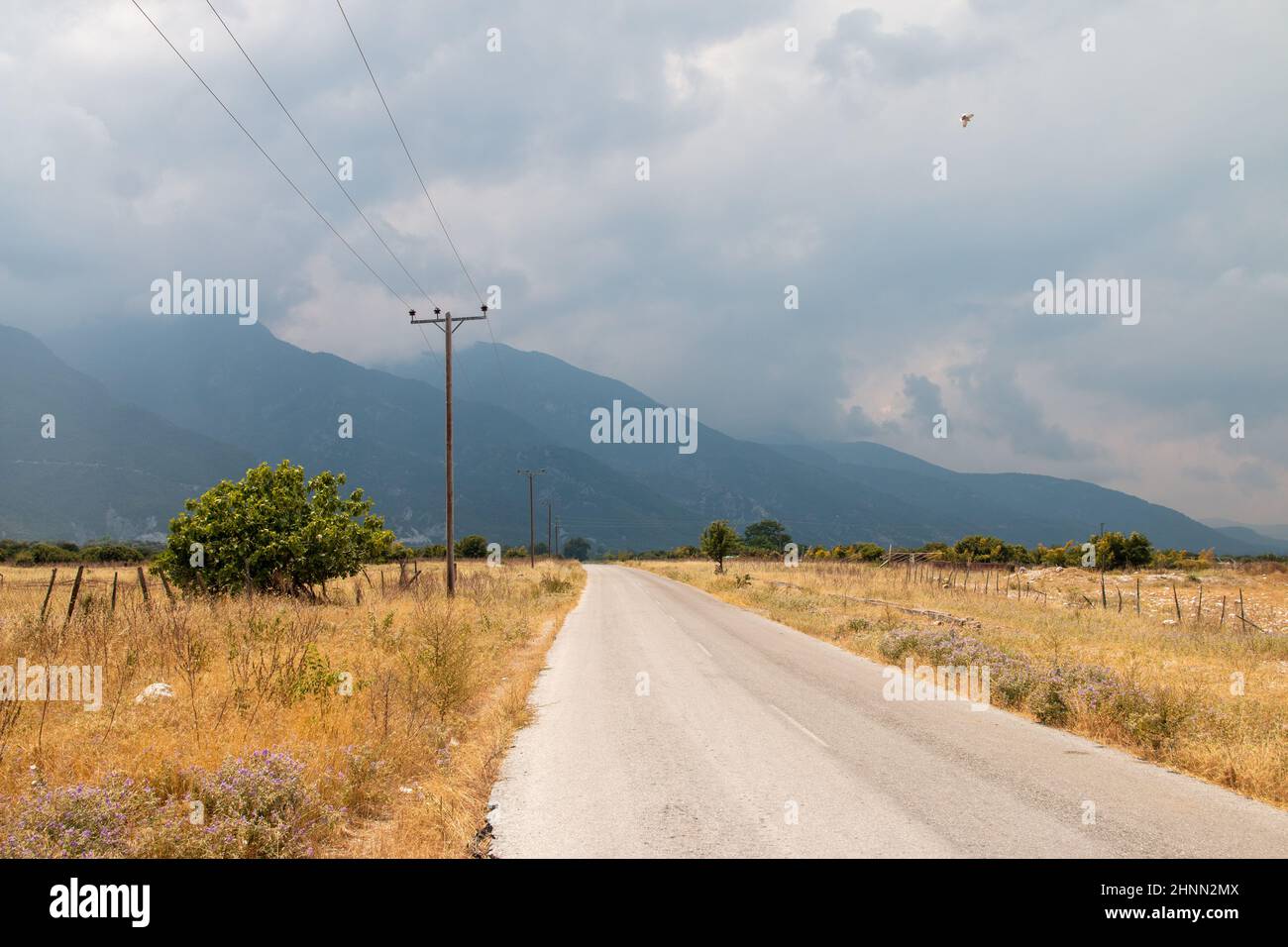 Landstraße, die zum Mt Olympus, Griechenland führt Stockfoto