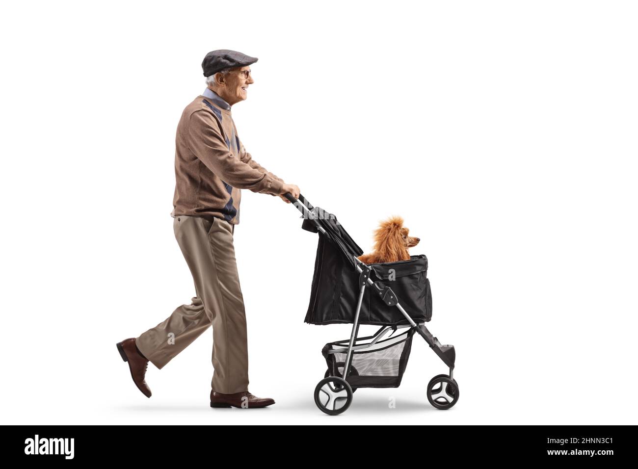 Ganzkörperaufnahme eines älteren Mannes, der mit einem roten Pudelhund in einem Kinderwagen auf weißem Hintergrund läuft Stockfoto