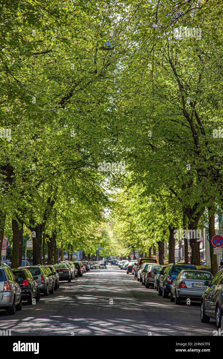 Landschaftlich schöner Blick auf die Wiesbadener Gasse. Wiesbaden mit seinen alten Villen wurde WW2 nicht zerstört, weil die amerikaner es als ehemaligen Hauptsitz aussortierten. Stockfoto