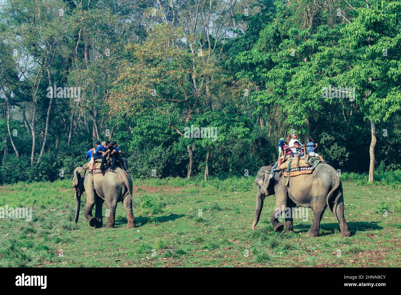 Menschen auf einer Elefantensafari im Chitwan Nationalpark in Nepal Stockfoto