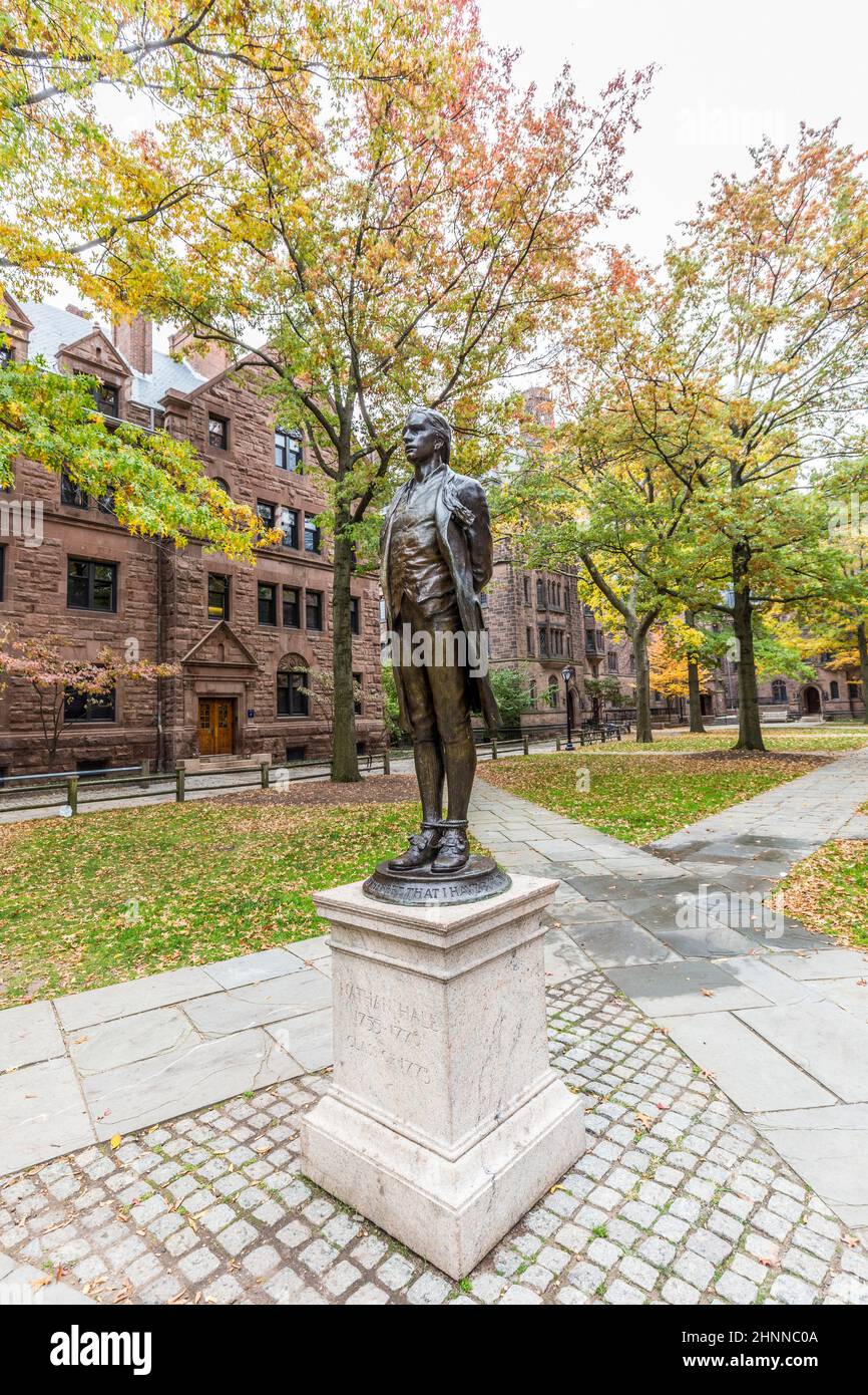 Nathan Hale (amerikanischer Revolutionsheld) Statue im Yale Univercity Haupthof Stockfoto