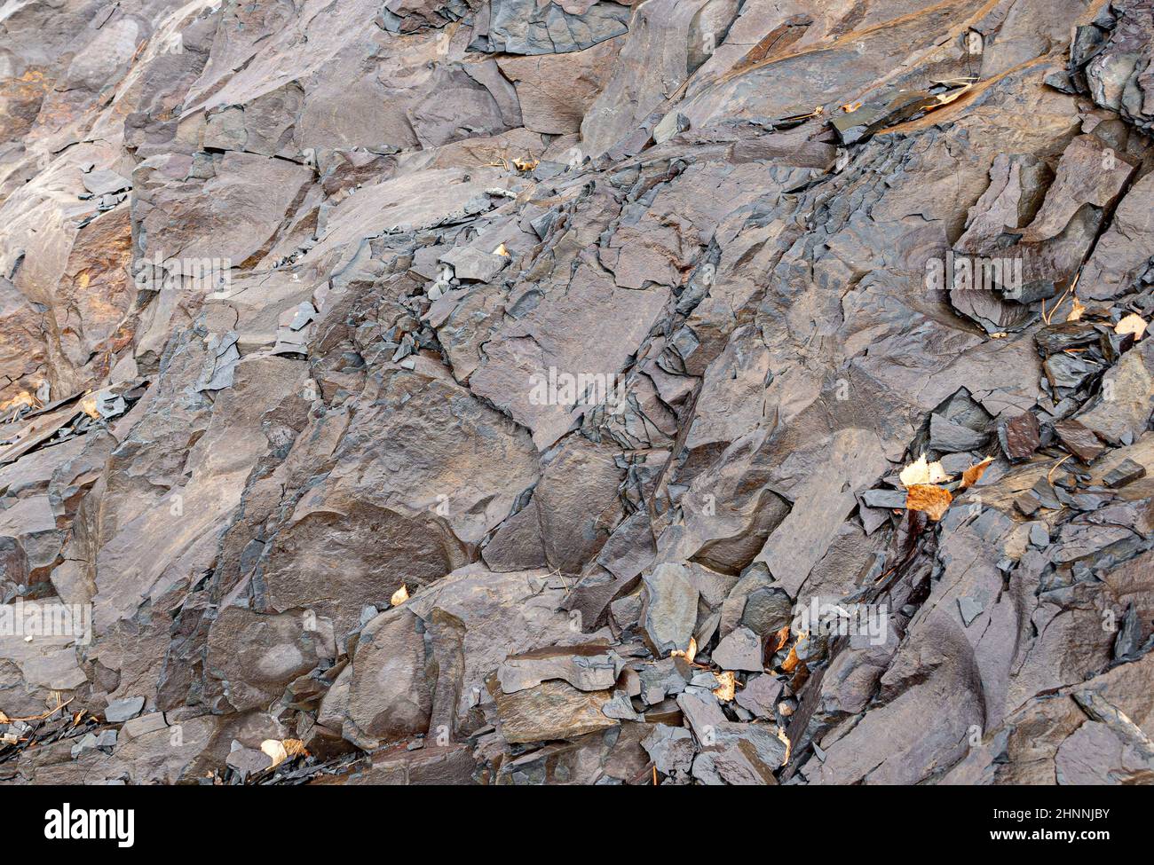 Schiefer Felsen Hintergrund und Textur gefärbt Stockfoto