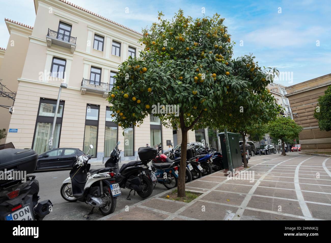 Orangenbäume in Athen, Griechenland Stockfoto