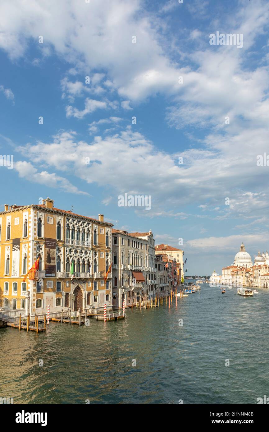 Blick auf canale grande von der Brücke Academia in der Nachmittagssonne in Venedig, Italien. Stockfoto