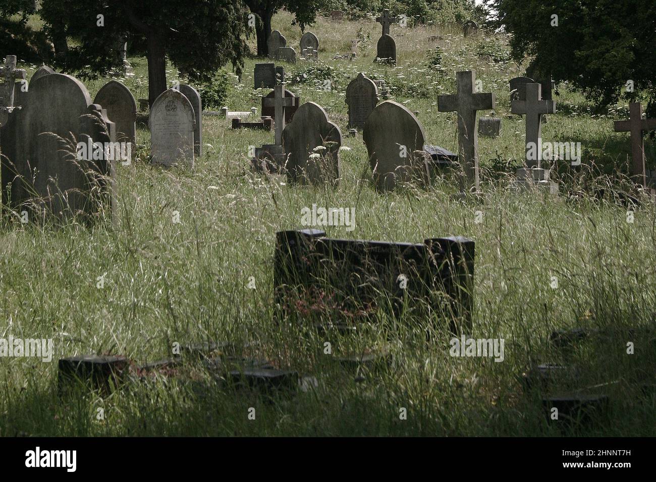 Friedhof mit Unkraut, das Isolation und Einsamkeit darstellt Stockfoto