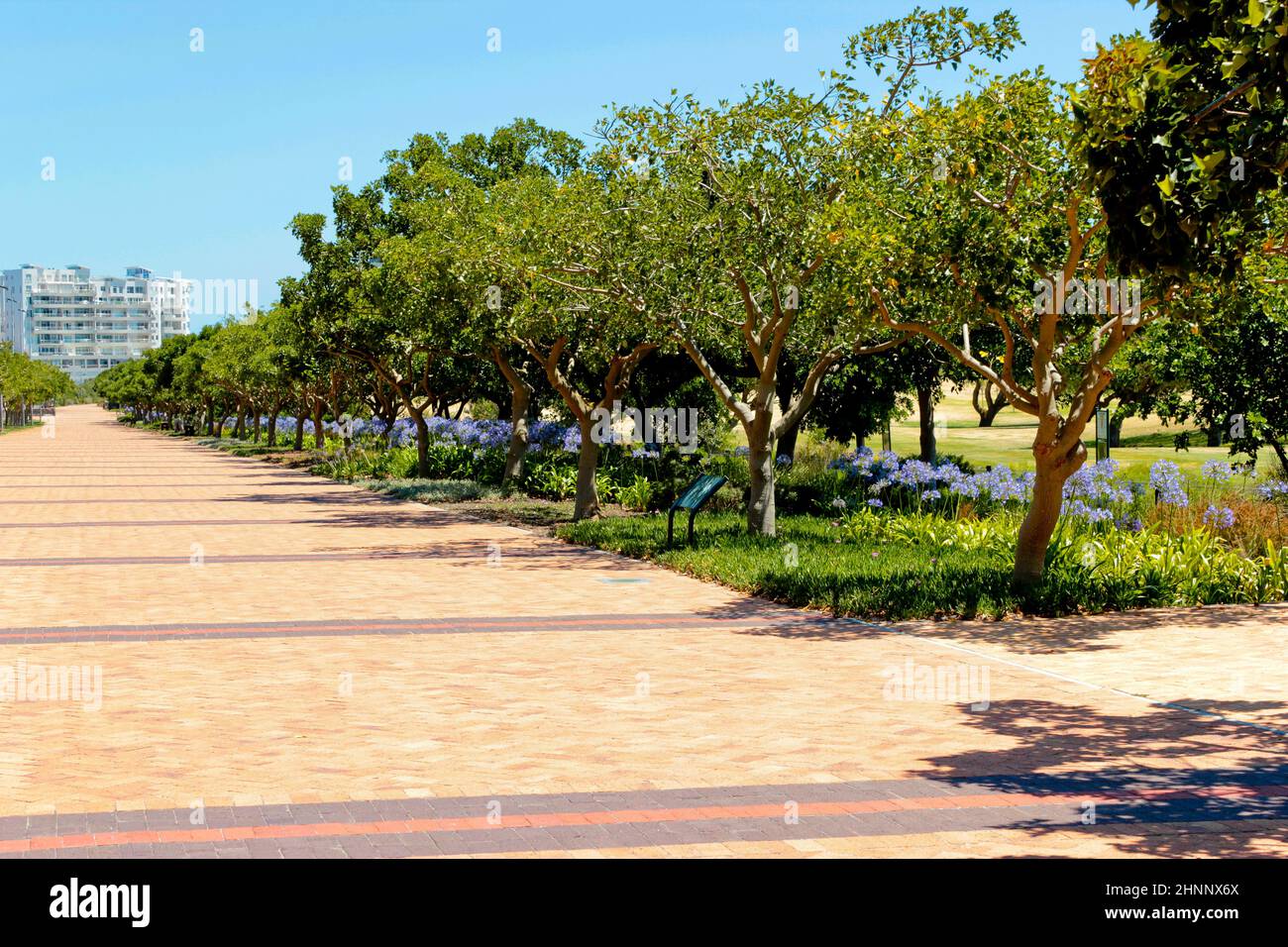 Eingang oder Pfad zum Green Point Park in Kapstadt. Stockfoto