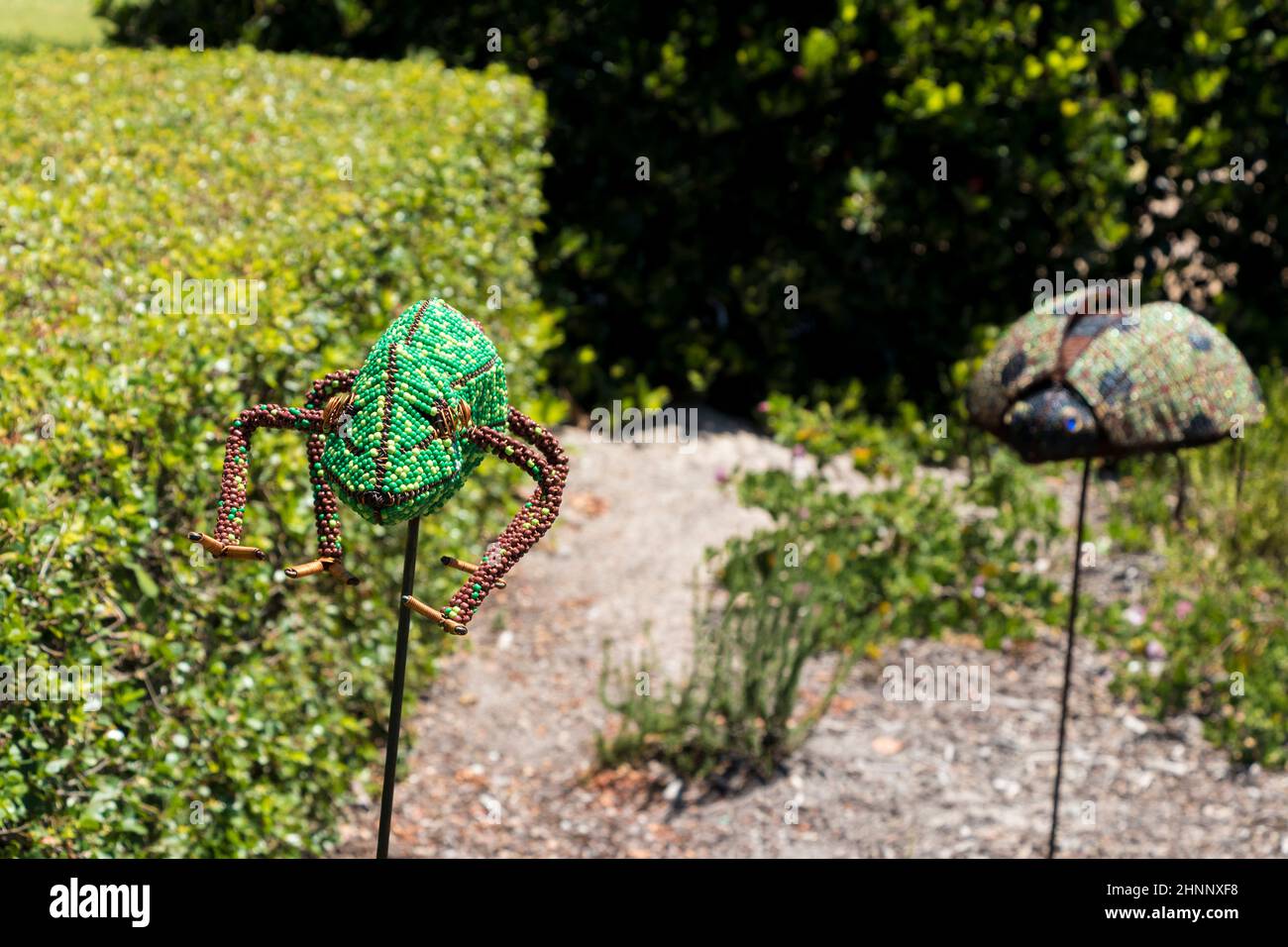 Dekorative Tiere im Garten, Blumenbeet. Eidechse, Gecko, Reptilien, Amphibien. Stockfoto