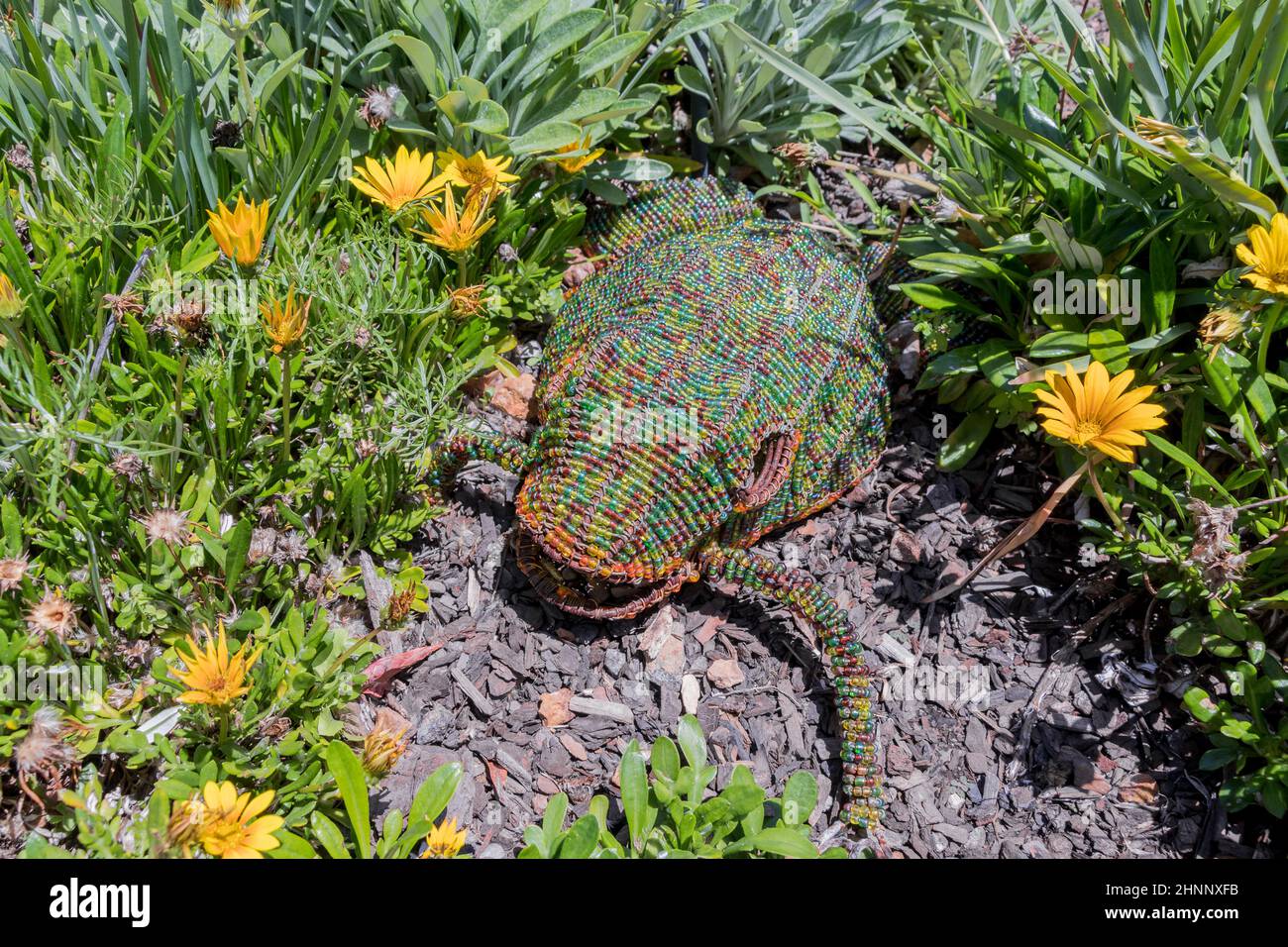 Dekorativer Frosch im Garten oder Blumenbeet im Park. Kreative Gartenarbeit. Stockfoto