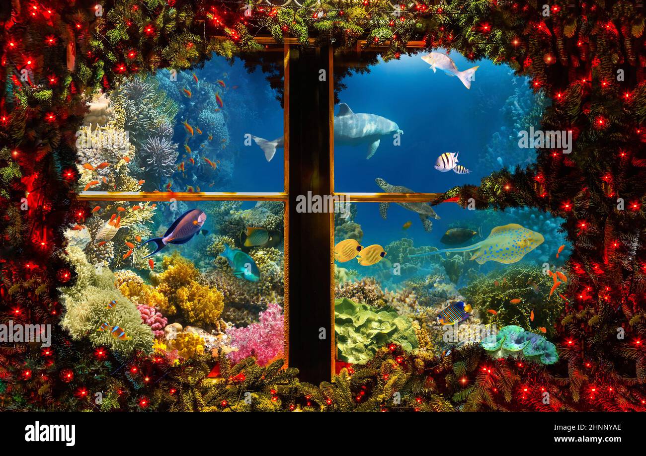 Collage über weihnachtsbaum und Unterwasserwelt. Stockfoto