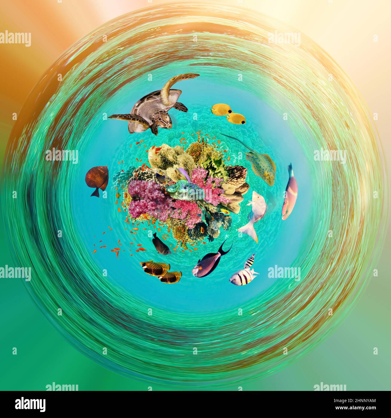 Unterwasserparadies Hintergrund Coral Reef wildlife Art Collage mit shark Manta Ray Sea turtle bunte Fische Hintergrund Stockfoto