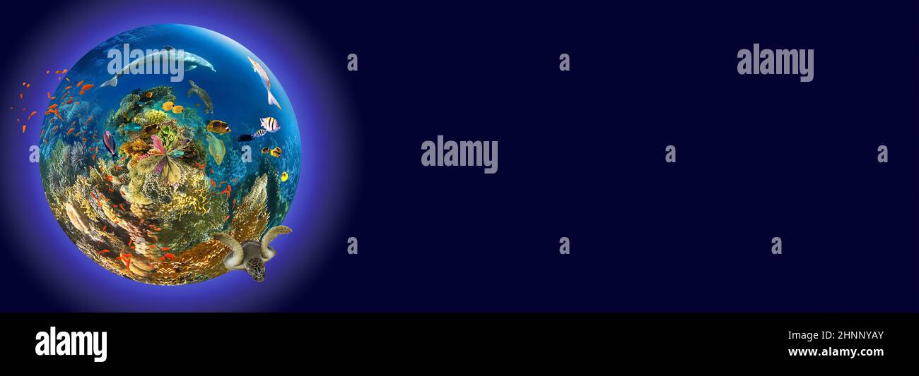 Unterwasserparadies Hintergrund Coral Reef wildlife Art Collage mit shark Manta Ray Sea turtle bunte Fische Hintergrund Stockfoto