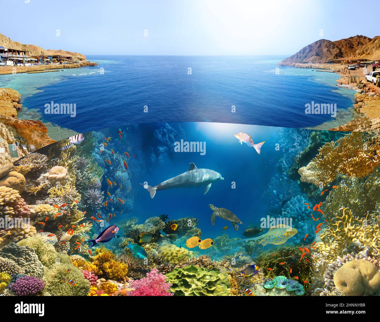 Scuba Diver über den Unterwasser-Canyon Stockfoto