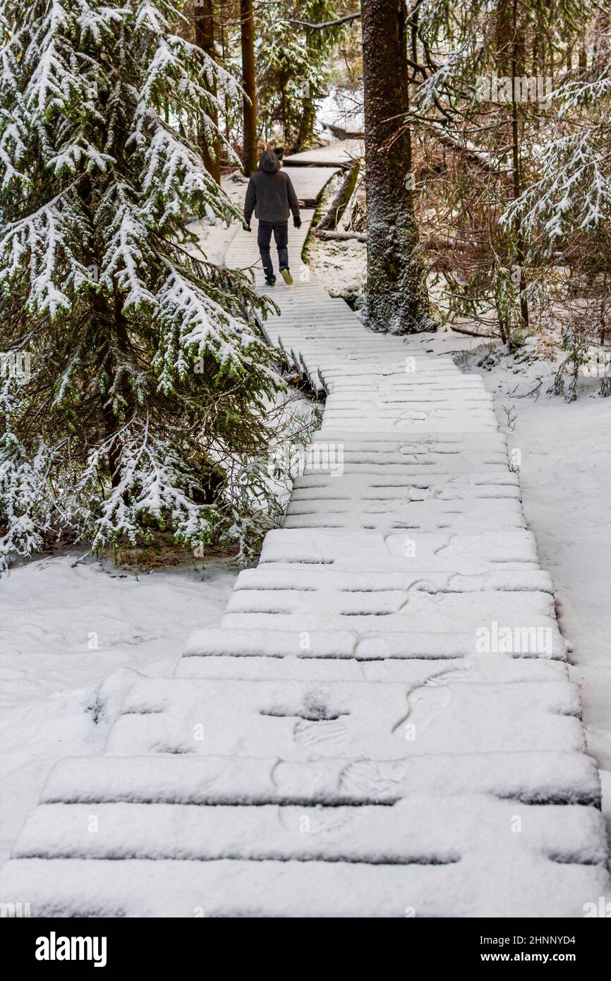 Wanderer auf dem Weg Wald schneite in der Landschaft Brocken Harz Deutschland Stockfoto